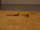 DSCF1909.JPG
