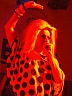 DSCF0541.JPG