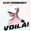 ElectronikBoy
