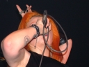 DSCF3228.JPG