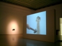 DSCF0007.jpg