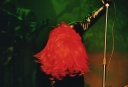 Fangoria011.jpg
