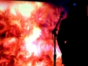 DSCF5259.JPG
